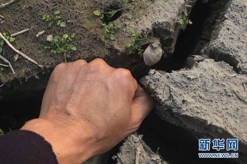 江西省湖口縣境內(nèi)鄱陽(yáng)湖湖灘上干涸的裂縫中可以放進(jìn)一只成年人的拳頭（12月10日攝）。新華社發(fā)（張俊 攝）