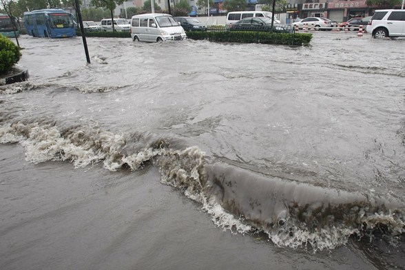 杭州暴雨 市民上街捕魚