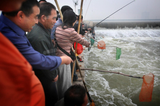 洛河水漲 洛陽(yáng)市民集體撈魚(yú)