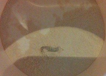思密達(dá)止瀉藥開袋現(xiàn)活蟲 益普生承諾回收檢驗(yàn)