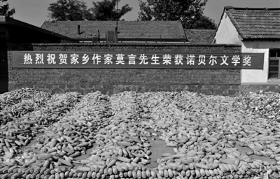 高密提出萬畝紅高粱計(jì)劃 官方稱賠也種