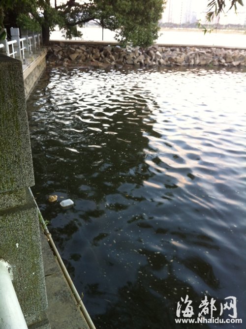 閩江公園南園沿線，閩江混雜污水，漂著垃圾，散發(fā)出腥臭。