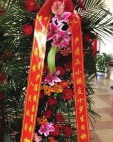 網(wǎng)曝當?shù)劓?zhèn)政府送給嚴婧涵小朋友的花籃。資料圖片