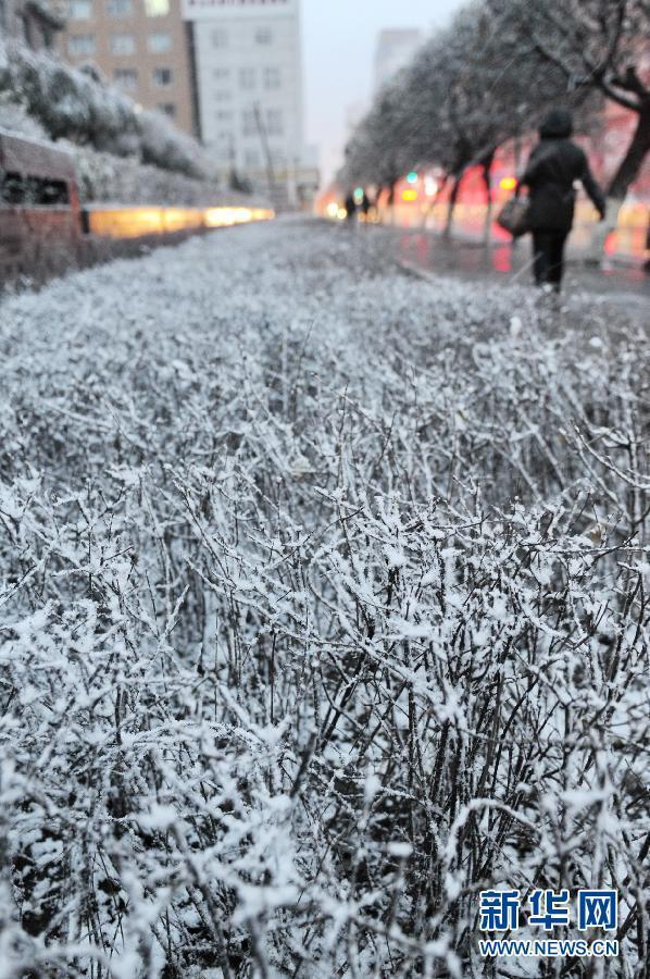 （生態(tài)）（3）內(nèi)蒙古東部、東北大部遭遇寒潮降雪天氣