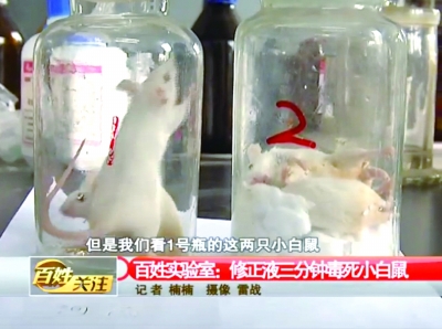 4三分鐘后，修正液瓶中的小白鼠死亡