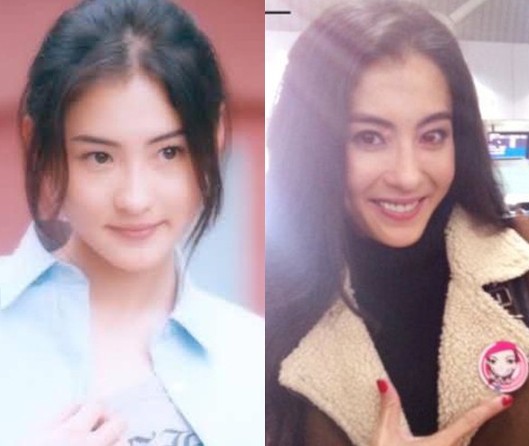 玉女出道二十年容貌今昔對比