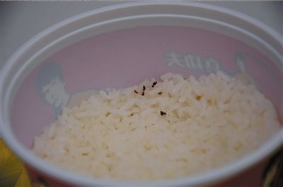 昨天中午12點(diǎn)多，市民戴先生在真功夫快餐安貞店用餐時，在米飯中發(fā)現(xiàn)數(shù)只小蟑螂。戴先生和店方交涉多時后，店方將出現(xiàn)蟑螂的套餐費(fèi)退還。 京華時報實(shí)習(xí)記者 趙思衡 攝/視頻