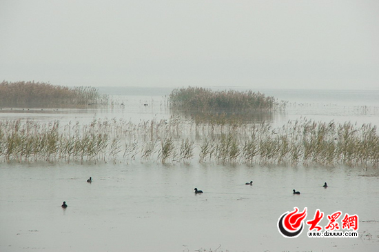 峽山湖國家濕地公園注重對自然環(huán)境的保護(hù)，公園的生物多樣性十分豐富，是我國內(nèi)陸候鳥遷徙通道上的重要驛站和棲息地