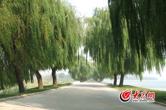 峽山湖國家濕地公園的環(huán)湖公路。